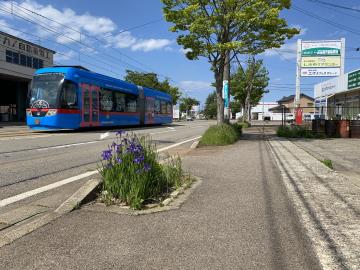 IMG_3657_convert_20210511151906